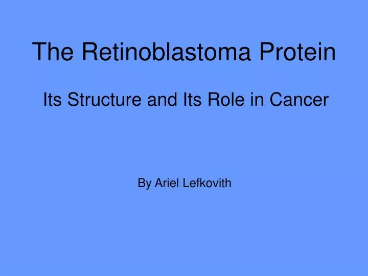 the retinoblastoma protein