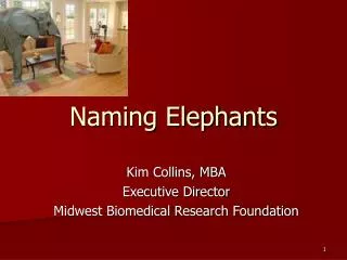 Naming Elephants