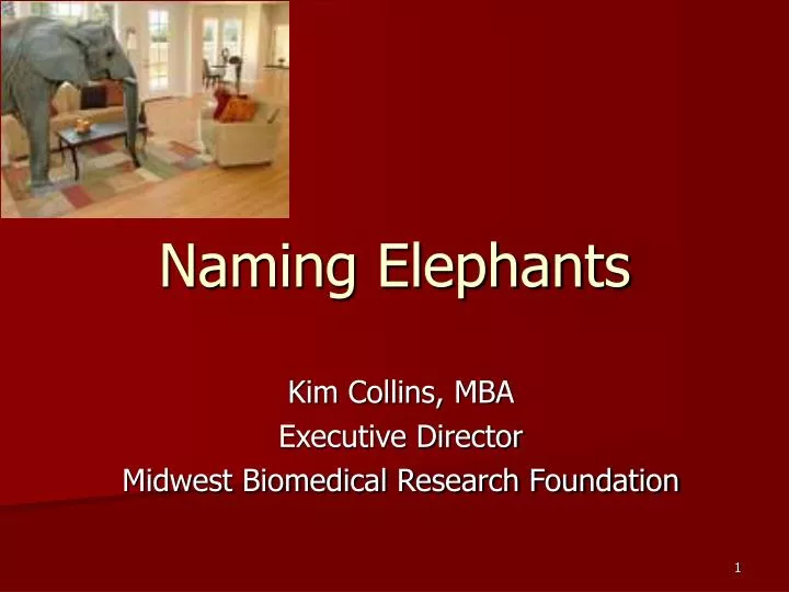 naming elephants