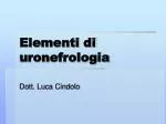 Elementi di uronefrologia - slide 1