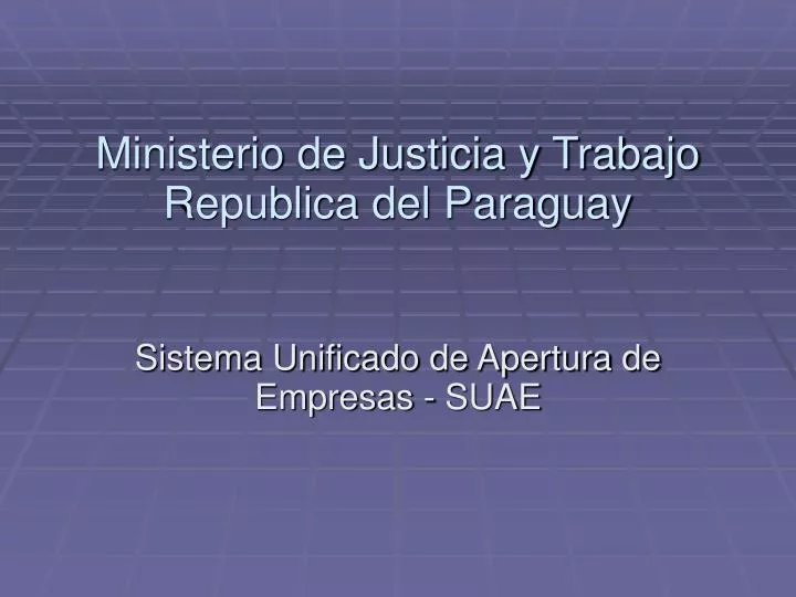 ministerio de justicia y trabajo republica del paraguay