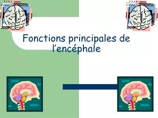 fonctions principales de l enc phale