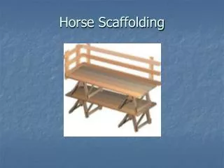 Horse Scaffolding