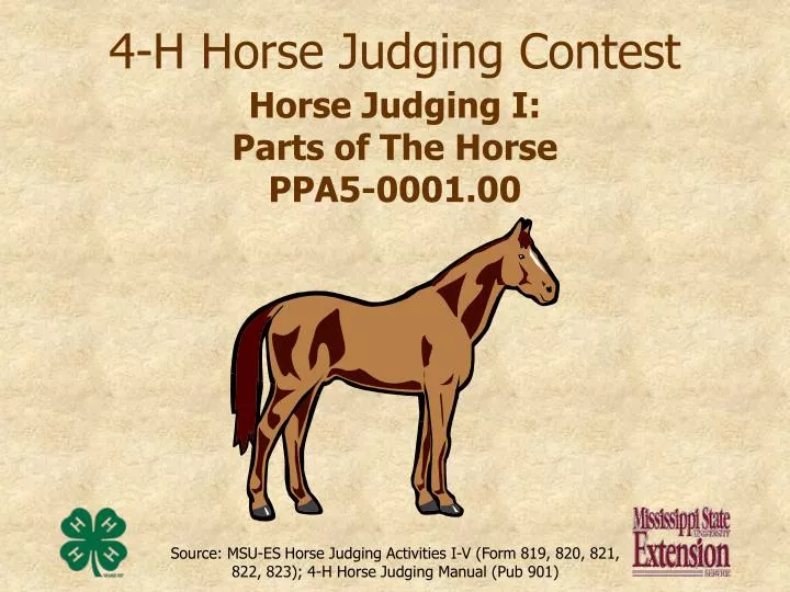 4 h horse judging contest