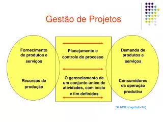 gest o de projetos