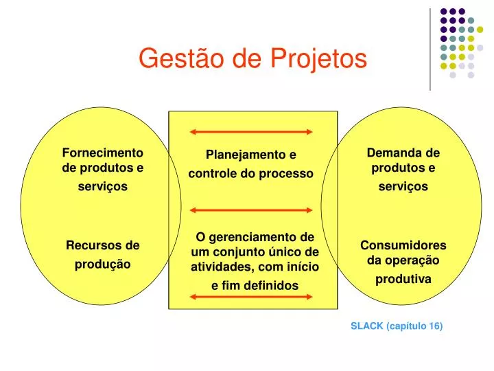 gest o de projetos