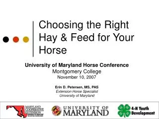 Choosing the Right Hay &amp; Feed for Your Horse