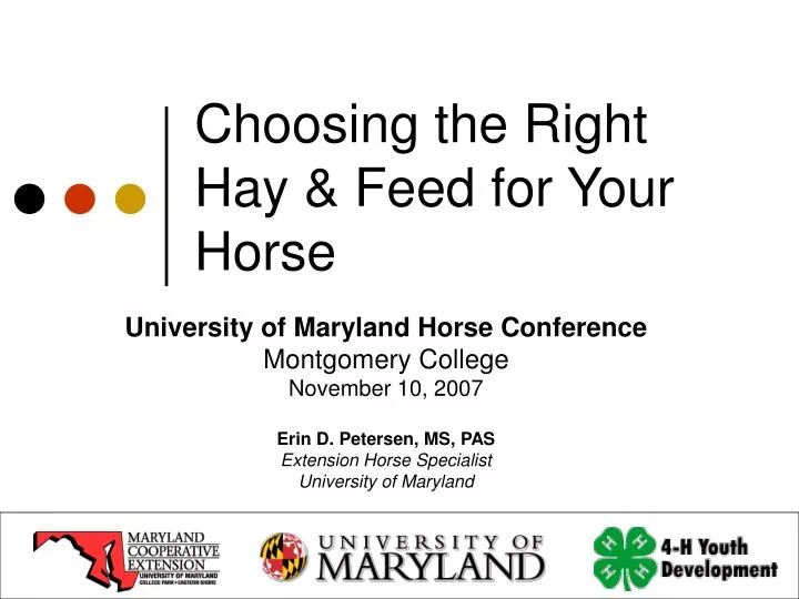 choosing the right hay feed for your horse