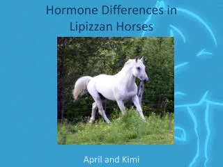 Hormone Differences in Lipizzan Horses