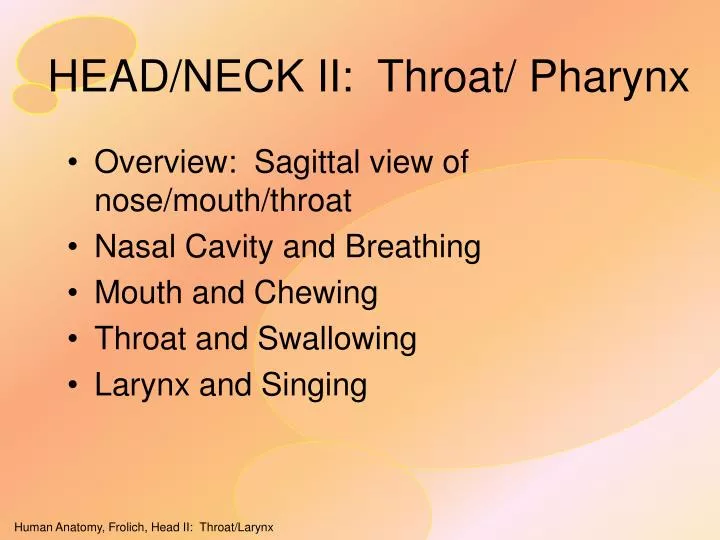 head neck ii throat pharynx