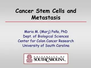 Cancer Stem Cells and Metastasis