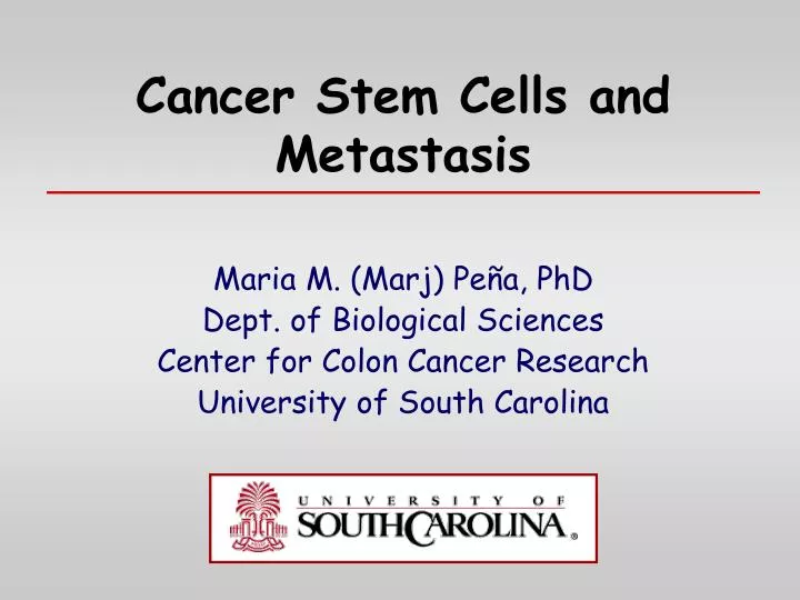 cancer stem cells and metastasis