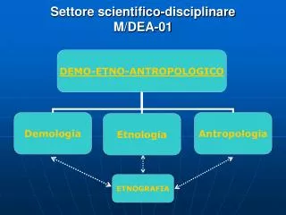 settore scientifico disciplinare m dea 01