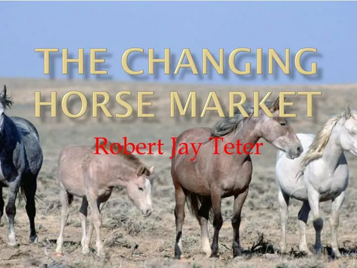 the changing horse market