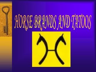 HORSE BRANDS AND TATOOS