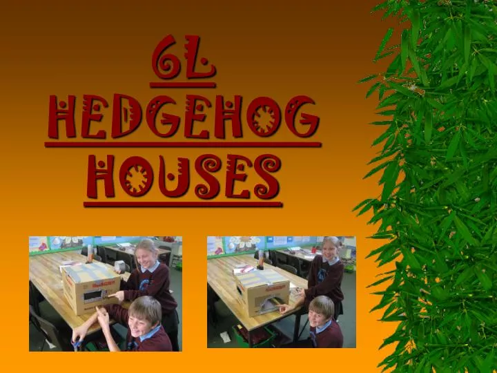 6l hedgehog houses