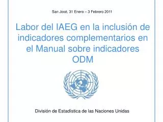 Labor del IAEG en la inclusión de indicadores complementarios en el Manual sobre indicadores ODM
