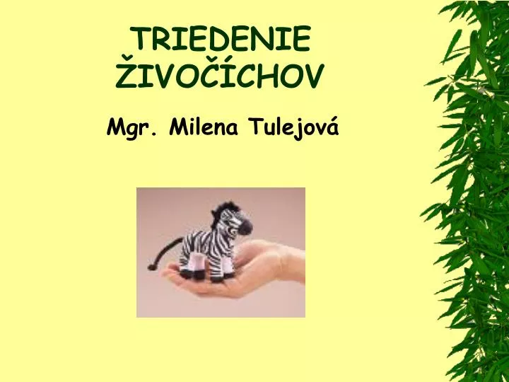 triedenie ivo chov