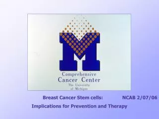 Breast Cancer Stem cells: NCAB 2/07/06 Implications for Prevention and Therapy