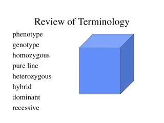 Review of Terminology