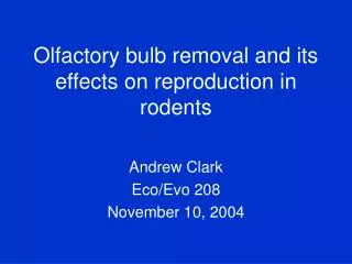 Olfactory bulb removal and its effects on reproduction in rodents