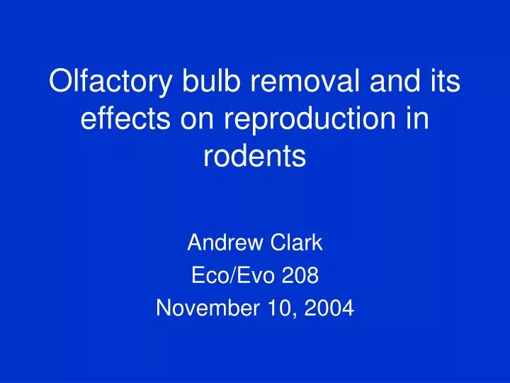 olfactory bulb removal and its effects on reproduction in rodents