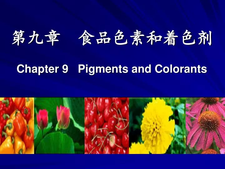 chapter 9 pigments and colorants