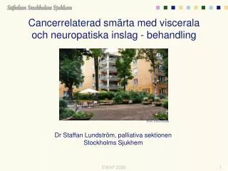 Cancerrelaterad smärta med viscerala och neuropatiska inslag - behandling