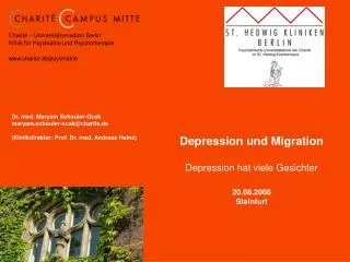 Depression und Migration Depression hat viele Gesichter 20.08.2008 Steinfurt