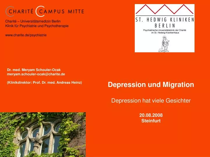 depression und migration depression hat viele gesichter 20 08 2008 steinfurt