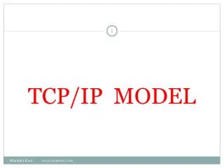 tcp ip model