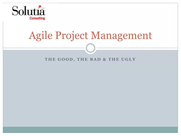 agile project management