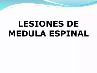 lesiones de medula espinal