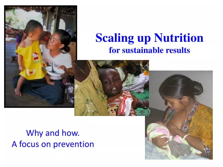 scaling up nutrition for sustainable results