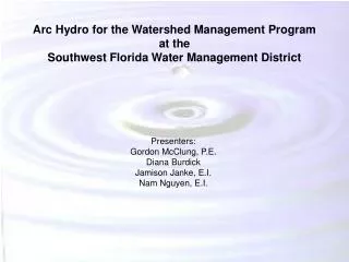 Arc Hydro for the Watershed Management Program at the Southwest Florida Water Management District