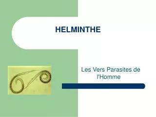 helminthe