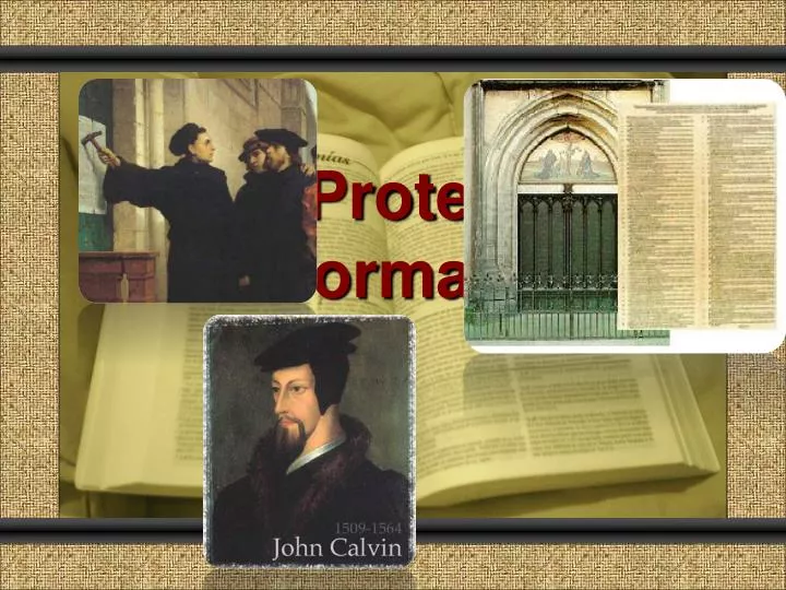 the protestant reformation