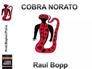 COBRA NORATO Raul Bopp