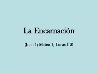 la encarnaci n