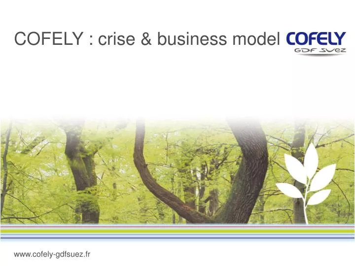 cofely crise business model