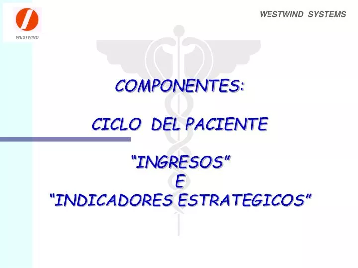 componentes ciclo del paciente ingresos e indicadores estrategicos