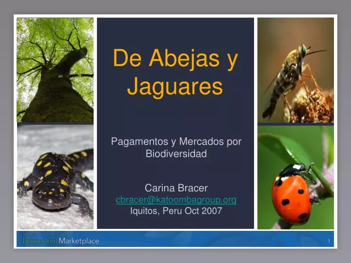 de abejas y jaguares