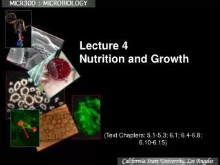 Lecture 4 Nutrition and Growth