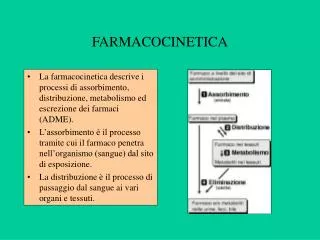 farmacocinetica