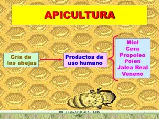 apicultura