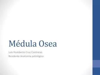 m dula osea
