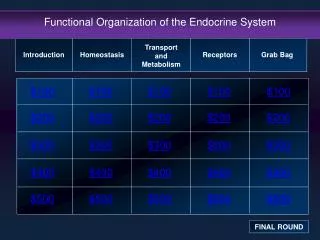 Functional Organization of the Endocrine System