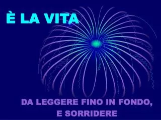 la vita
