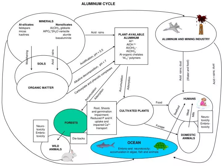aluminum cycle