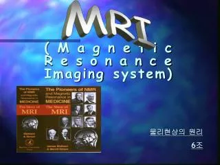 magnetic resonance imaging system